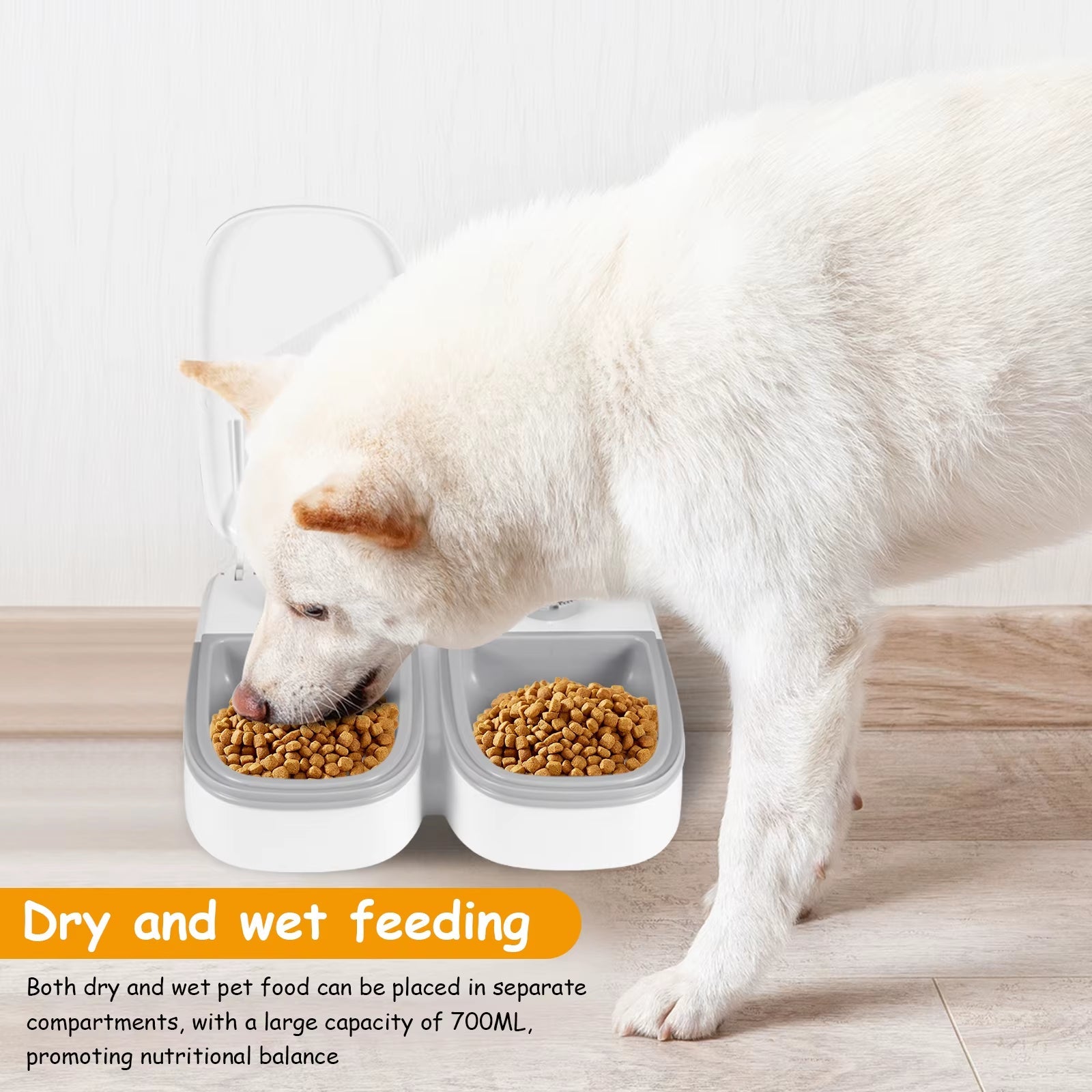 Automatic Pet Feeder for Dogs and Cats Dry and Wet Food Double Meal Separation Regular Quantitative Healthy Feeding - Michka