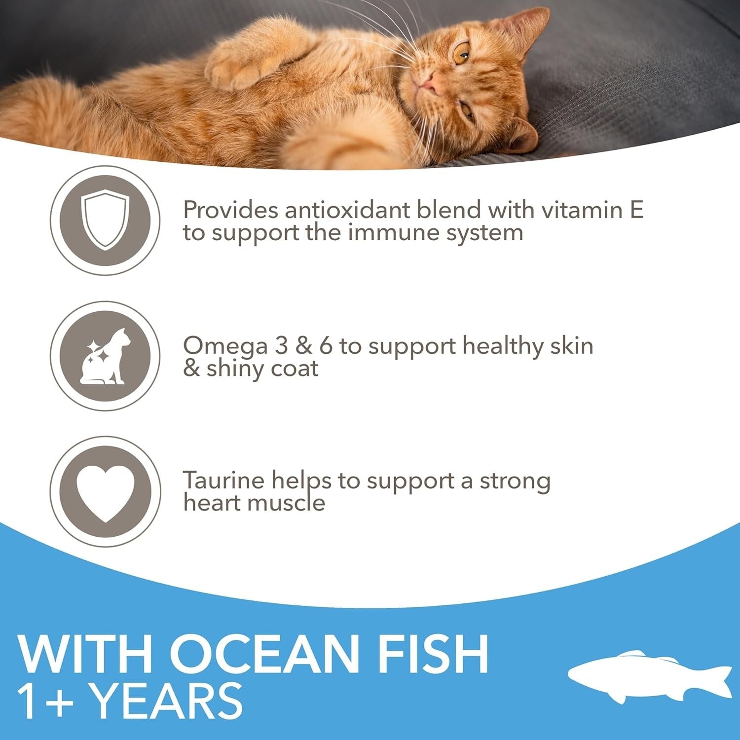 IAMS Complete Dry Cat Food for Adult 1+ Cats with Ocean Fish 3 Kg